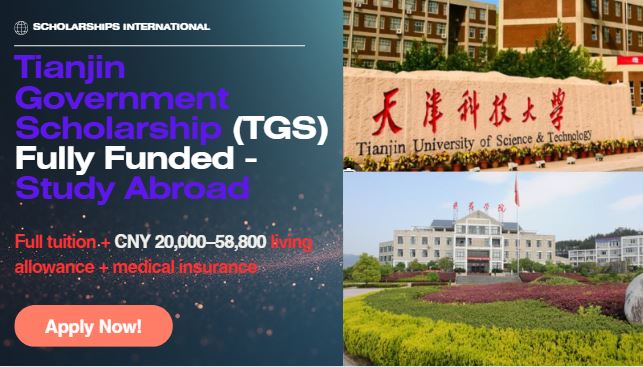 Tianjin Government Scholarship